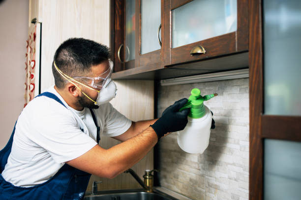 Professional Pest Control in Spanish Springs, NV