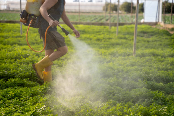 Best Best Pest Control Companies  in Spanish Springs, NV