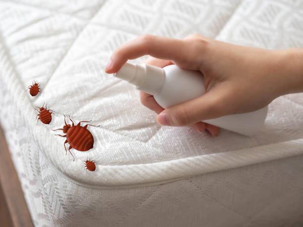 Best Cockroach Control Services  in Spanish Springs, NV