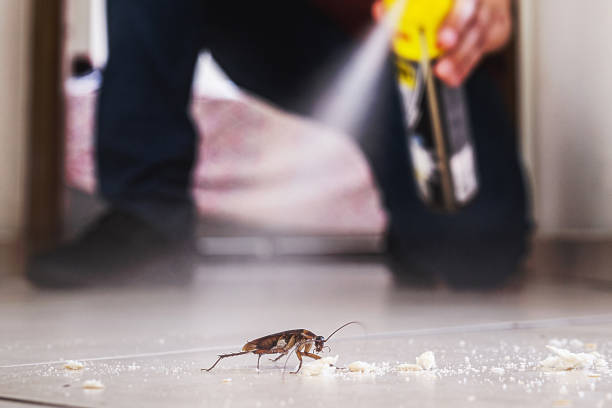 Best Wildlife Control Services  in Spanish Springs, NV