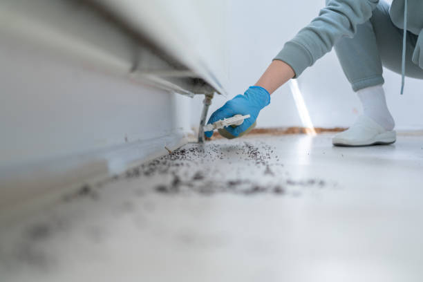 Professional Pest Control in Spanish Springs, NV