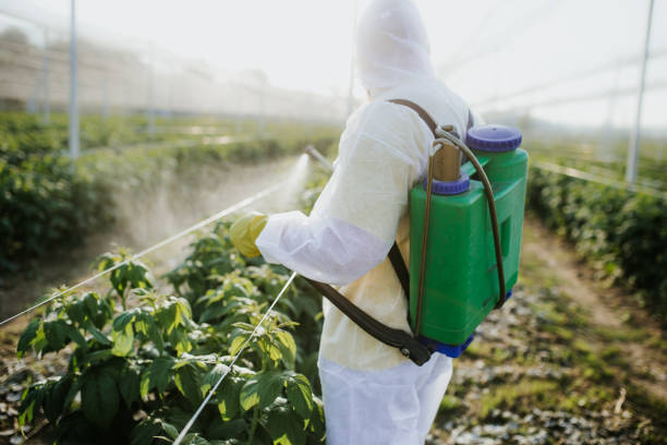 Best Wasp Removal Services  in Spanish Springs, NV